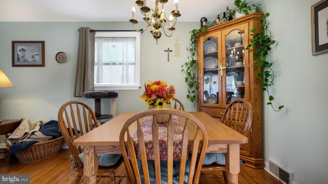 a dining room with furniture potted plants and wooden floor