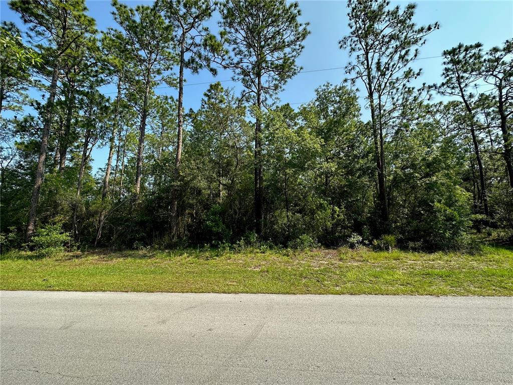 Northwest 27th Street Dunnellon, FL 34432 - Photo 1 of 1