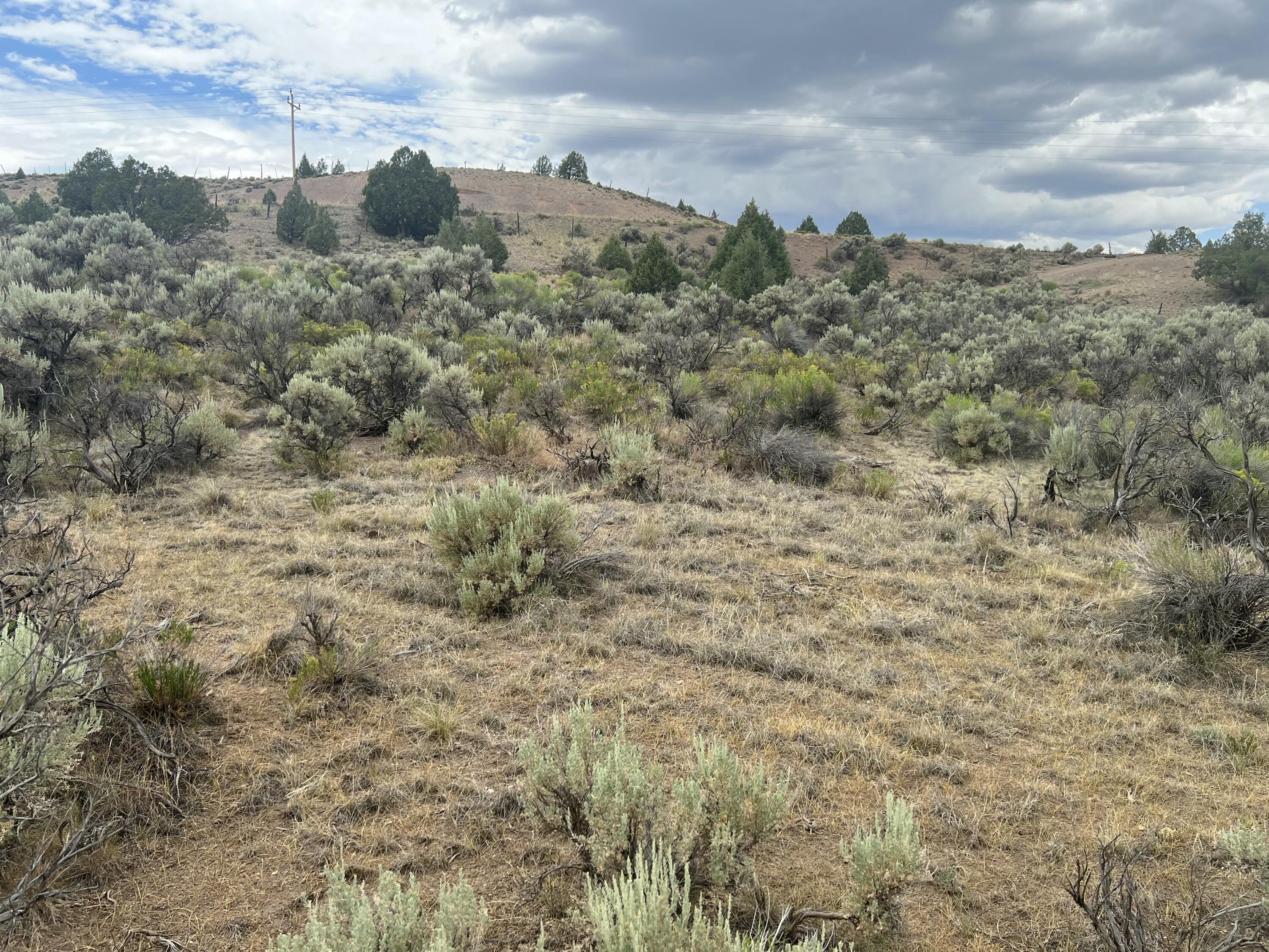 857 South Hatch Town Dam Road Hatch, UT 84735 - Photo 2 of 6 IMG_9762