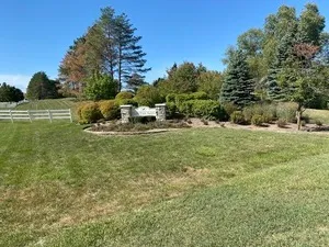 a view of a field with grass and trees