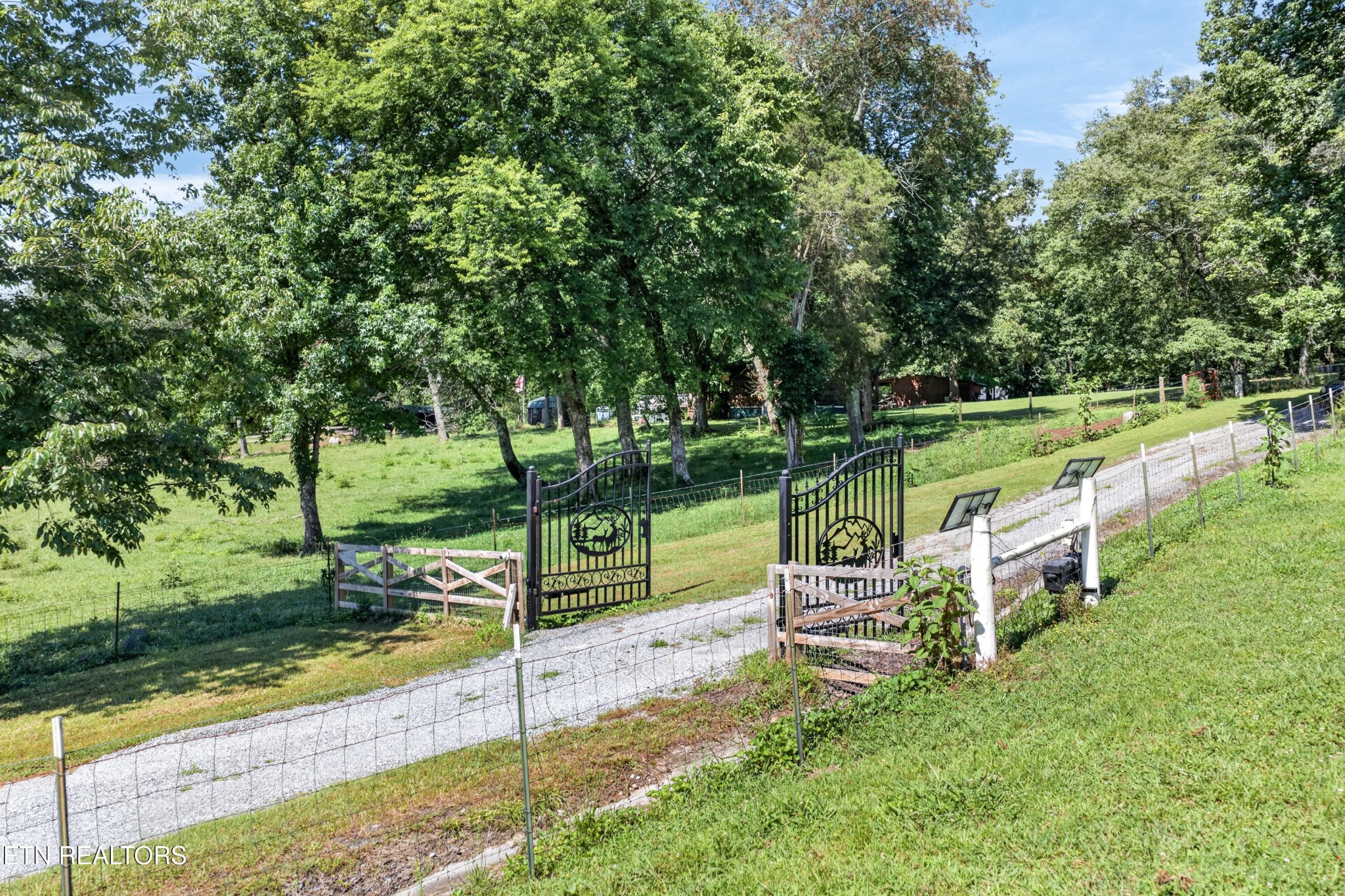 105 Foothills Road Pikeville, TN 37367 - Photo 3 of 50