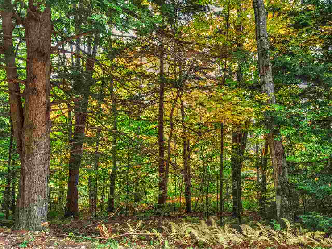 Lot 5-6 Shaw Road Pittsfield, NH 03263 - Photo 1 of 7