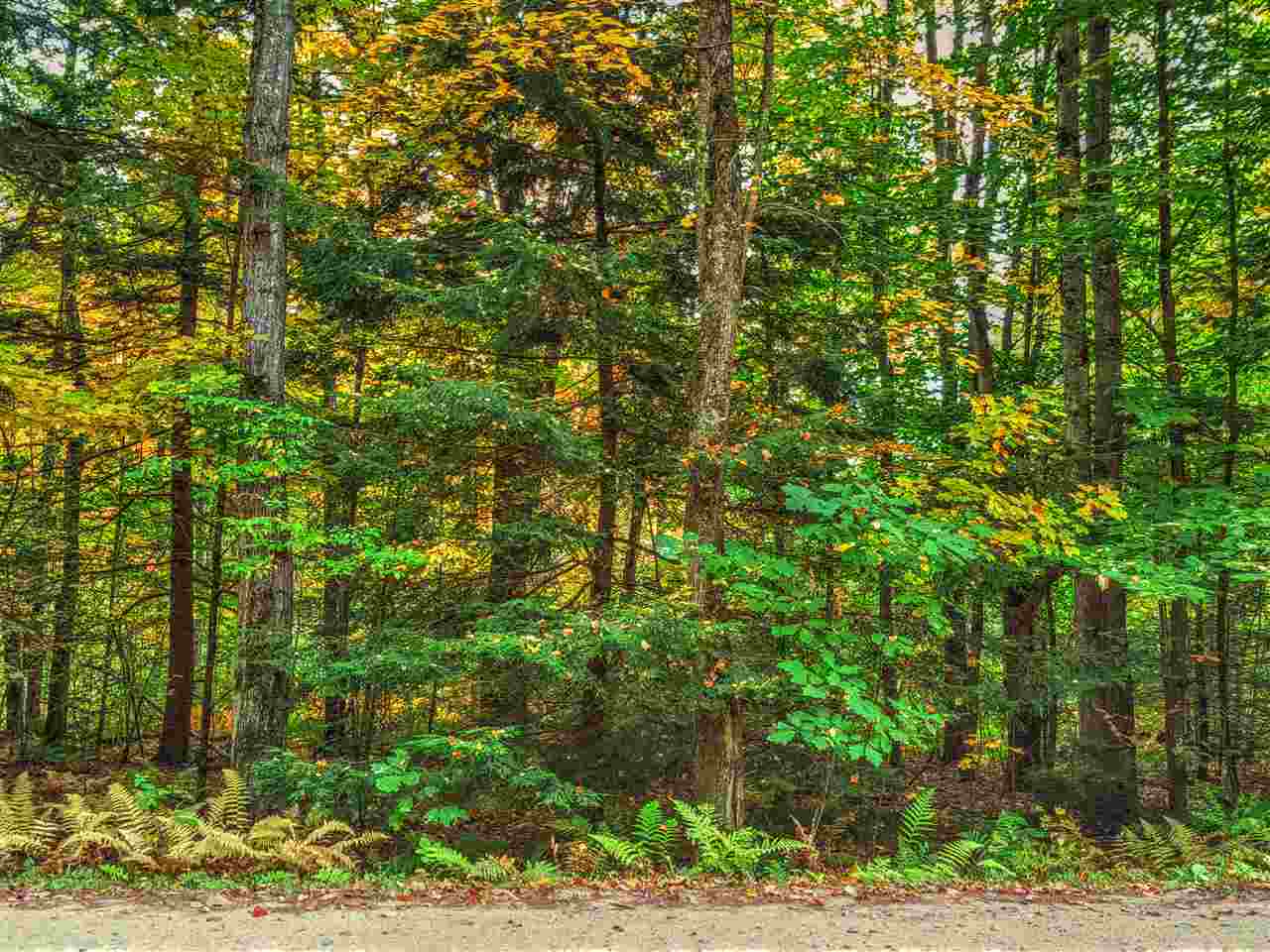 Lot 5-6 Shaw Road Pittsfield, NH 03263 - Photo 2 of 7