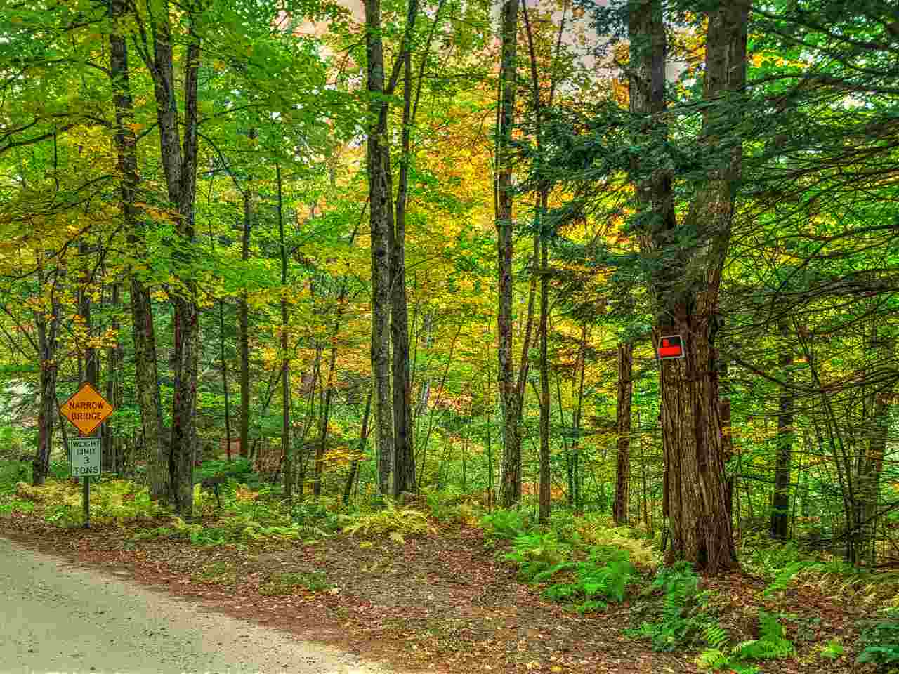 Lot 5-6 Shaw Road Pittsfield, NH 03263 - Photo 3 of 7