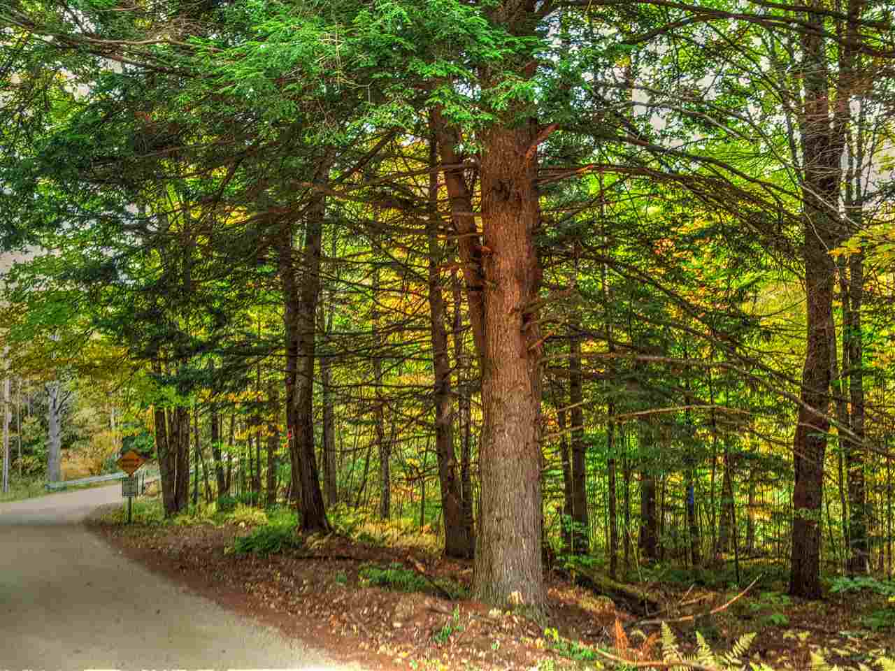 Lot 5-6 Shaw Road Pittsfield, NH 03263 - Photo 4 of 7