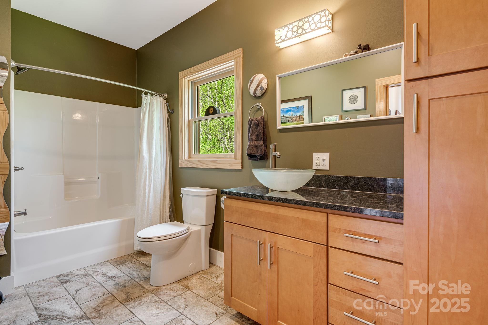 256 Morgan Cove Road Candler, NC 28715 - Photo 19 of 25 Gallery Image 19
