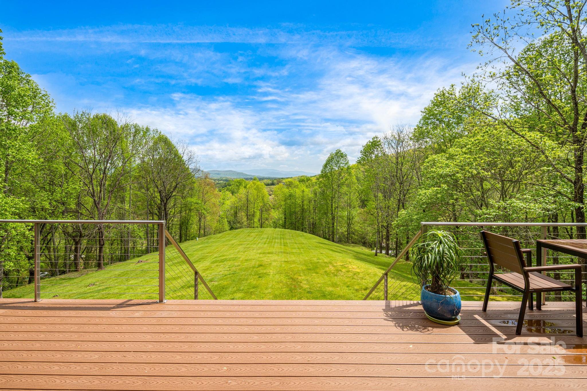 256 Morgan Cove Road Candler, NC 28715 - Photo 3 of 25 Gallery Image 3