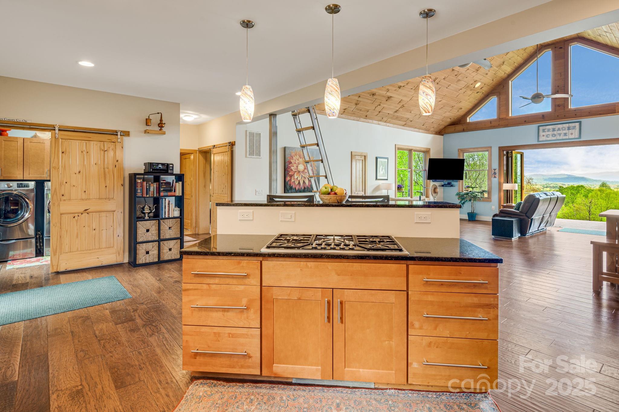 256 Morgan Cove Road Candler, NC 28715 - Photo 10 of 25 Gallery Image 10