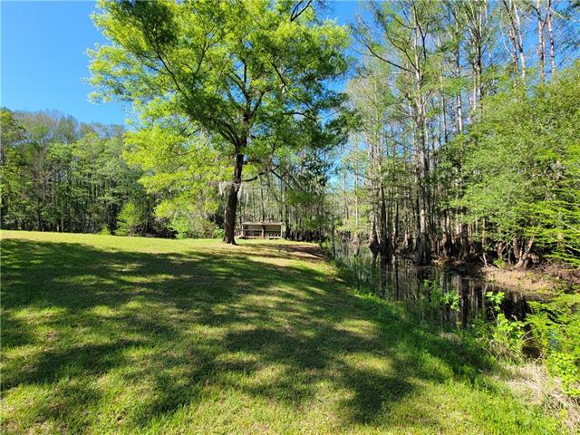 176 Harbor Estate Road Campti, LA 71411 - Photo 4 of 20