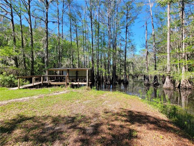 176 Harbor Estate Road Campti, LA 71411 - Photo 5 of 20