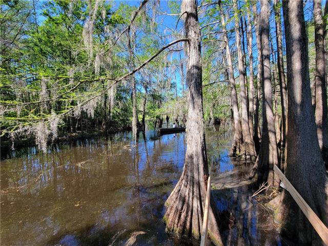 176 Harbor Estate Road Campti, LA 71411 - Photo 7 of 20