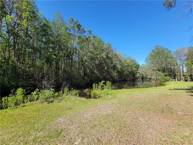 176 Harbor Estate Road Campti, LA 71411 - Photo 9 of 20