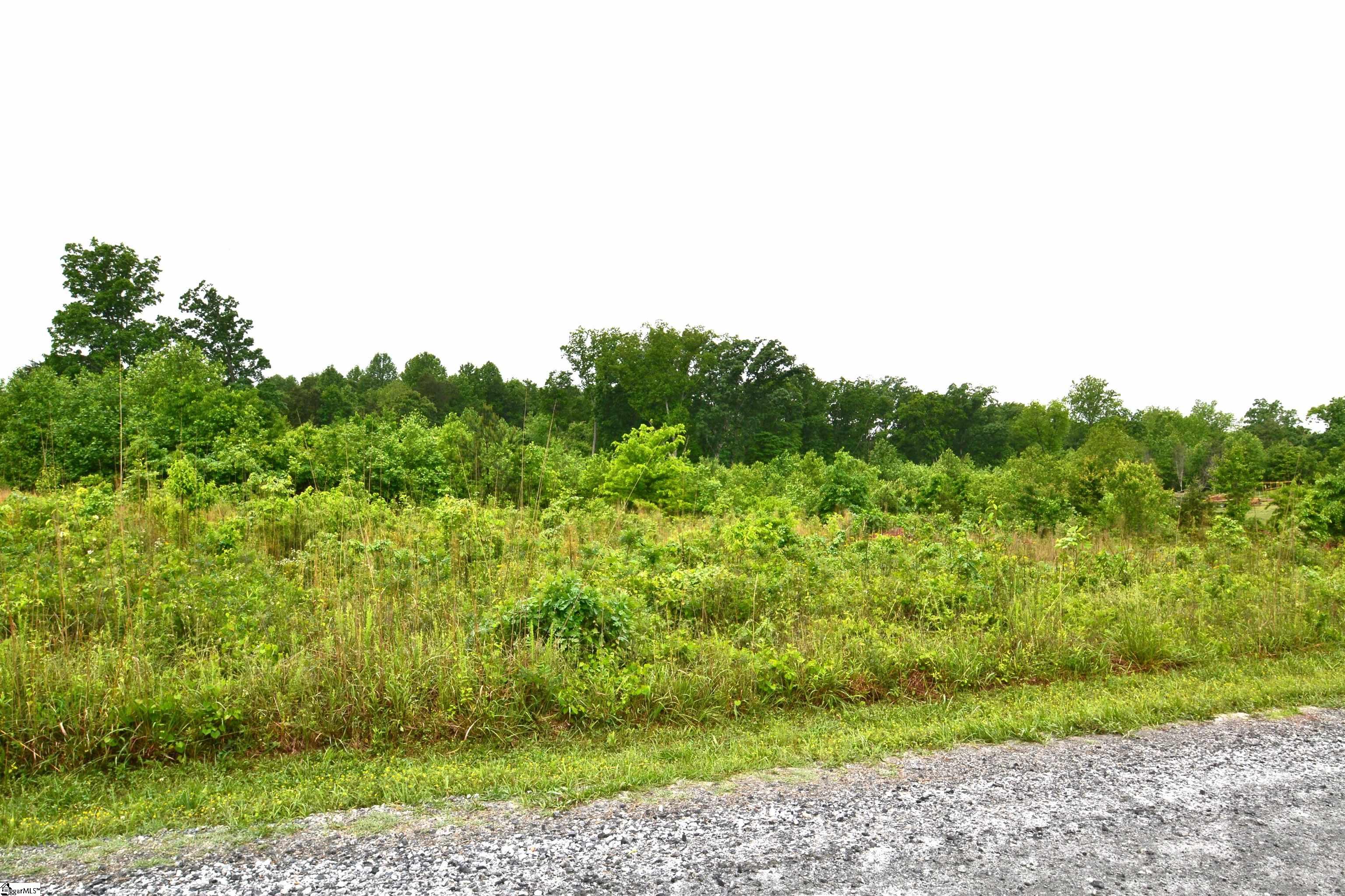 1647 Christopher Road Campobello, SC 29322 - Photo 2 of 6