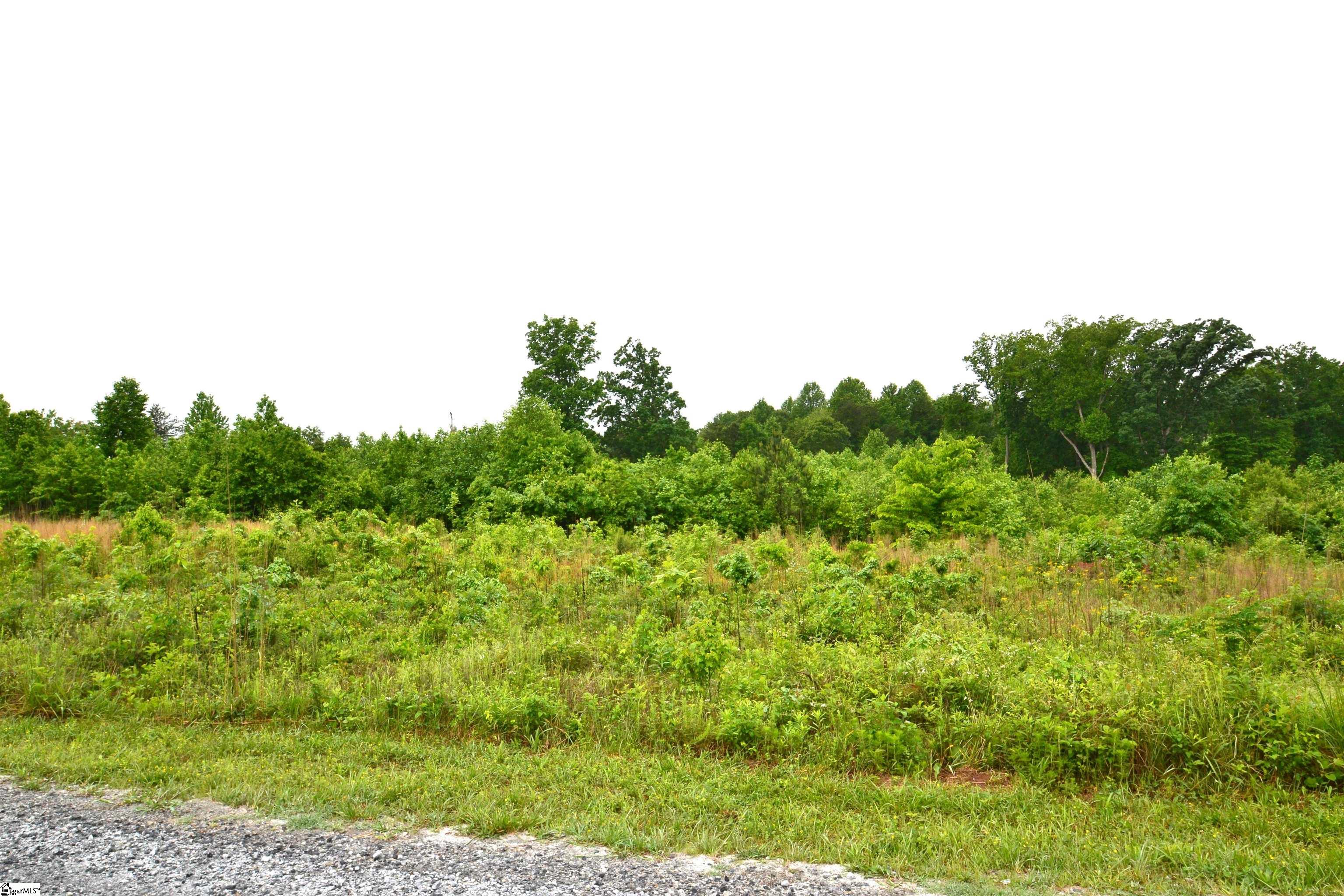 1647 Christopher Road Campobello, SC 29322 - Photo 3 of 6