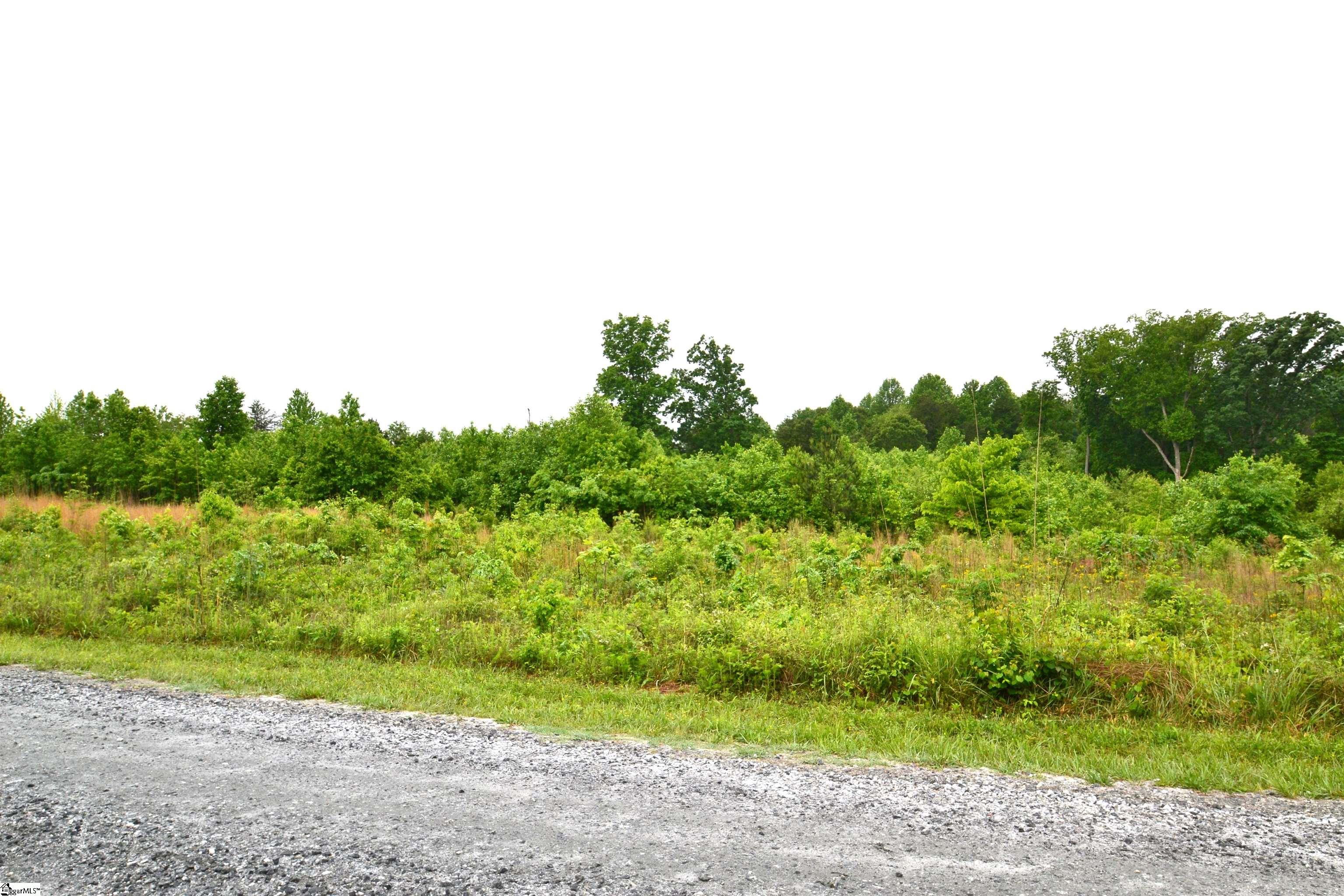 1647 Christopher Road Campobello, SC 29322 - Photo 4 of 6