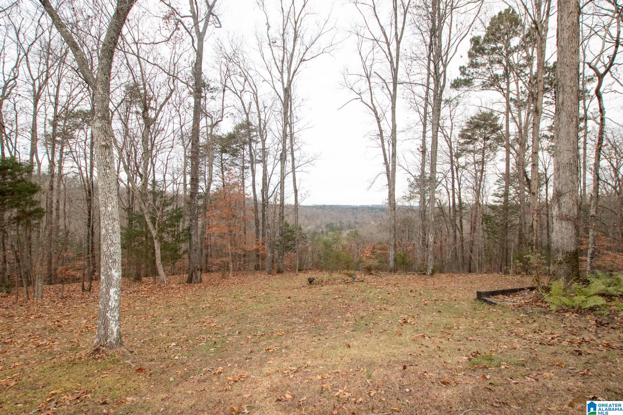 199 Heritage Ridge Springville, AL 35146 - Photo 29 of 30