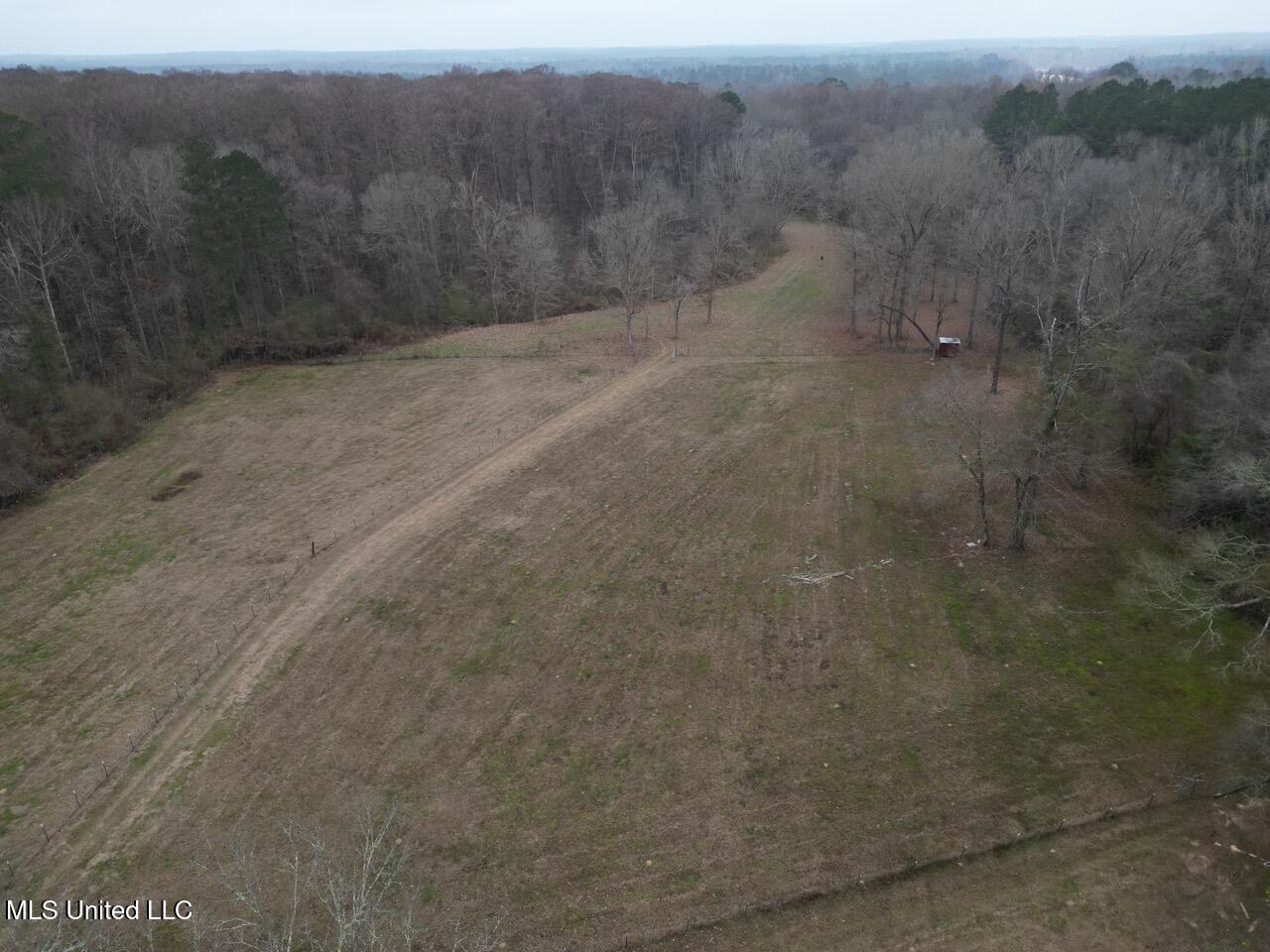 7035 Robertson Road Meadville, MS 39653 - Photo 3 of 47 DJI_0072 Large