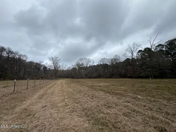 $450,000 | 7035 Robertson Road, Meadville, MS 39653