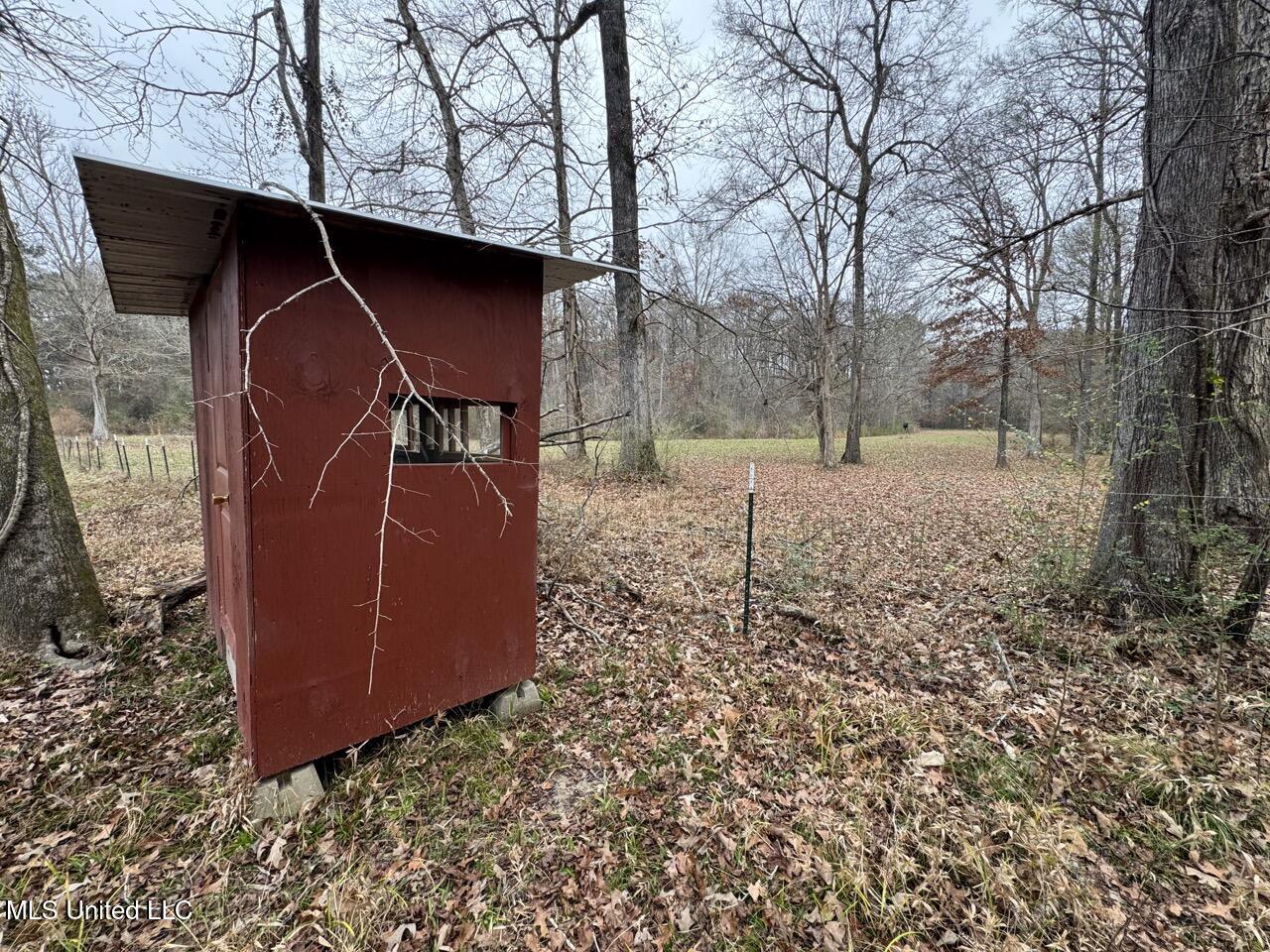 7035 Robertson Road Meadville, MS 39653 - Photo 35 of 47 IMG_1128 Large