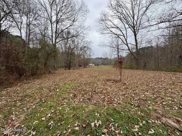 $450,000 | 7035 Robertson Road, Meadville, MS 39653