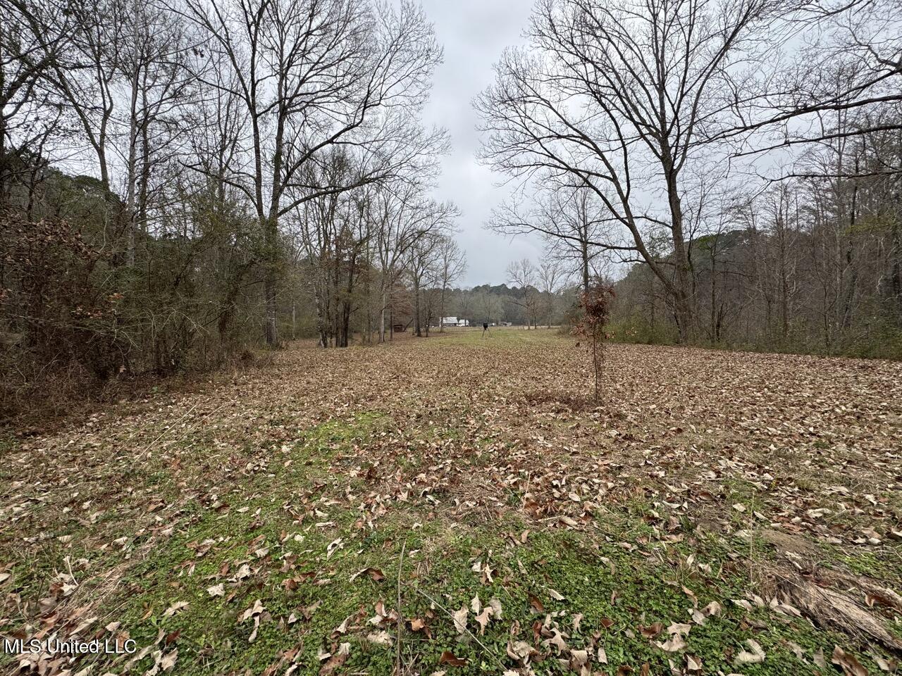 7035 Robertson Road Meadville, MS 39653 - Photo 36 of 47 IMG_1130 Large