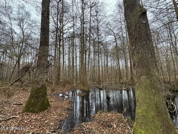 $450,000 | 7035 Robertson Road, Meadville, MS 39653