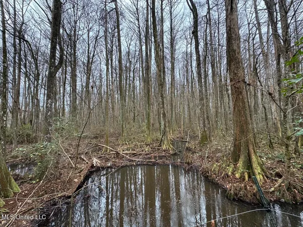 $450,000 | 7035 Robertson Road, Meadville, MS 39653