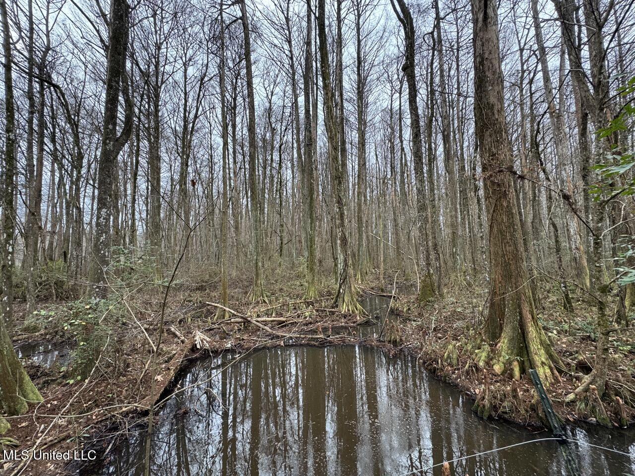 7035 Robertson Road Meadville, MS 39653 - Photo 38 of 47 IMG_1133 2 Large