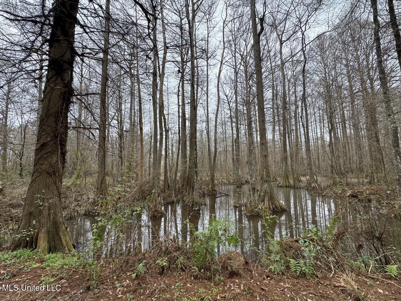 7035 Robertson Road Meadville, MS 39653 - Photo 39 of 47 IMG_1134 2 Large