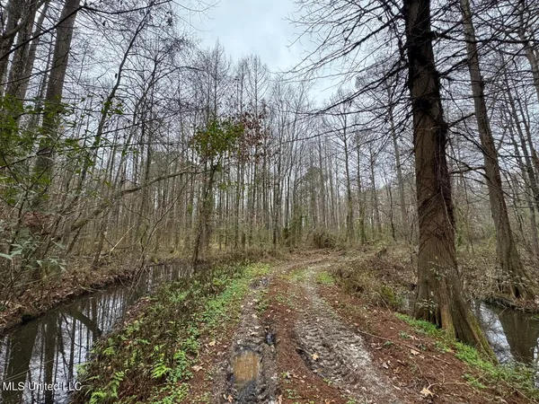 $450,000 | 7035 Robertson Road, Meadville, MS 39653