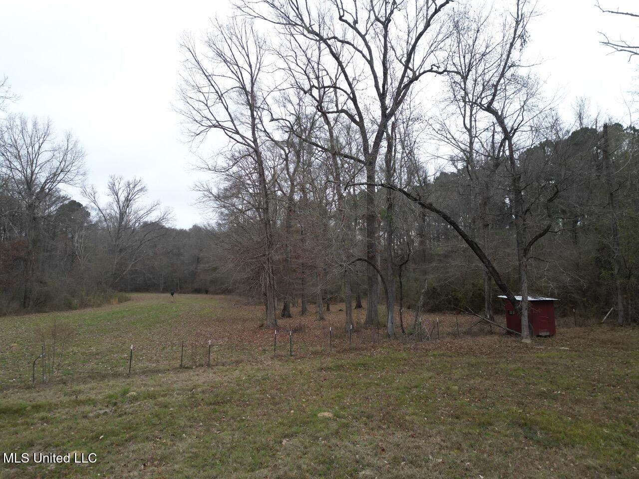 7035 Robertson Road Meadville, MS 39653 - Photo 4 of 47 DJI_0074 Large