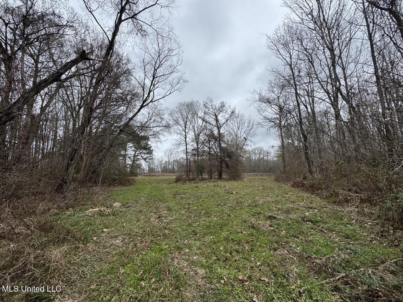 7035 Robertson Road Meadville, MS 39653 - Photo 41 of 47 IMG_1137 2 Large