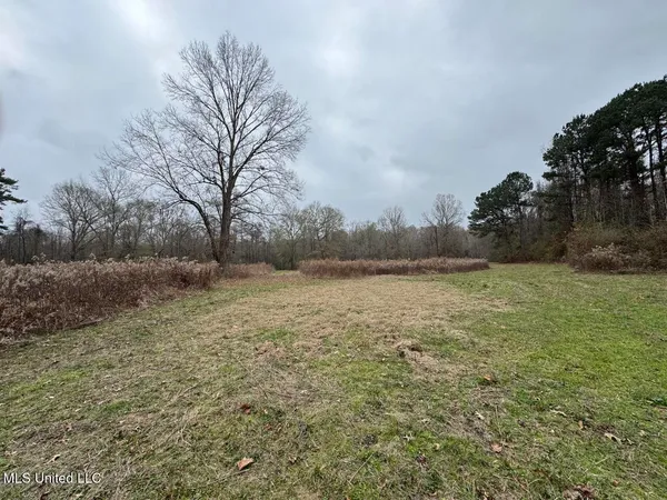 $450,000 | 7035 Robertson Road, Meadville, MS 39653