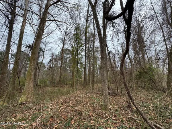 $450,000 | 7035 Robertson Road, Meadville, MS 39653