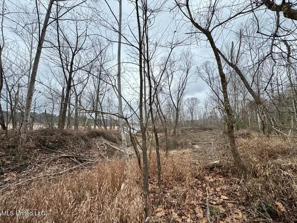 $450,000 | 7035 Robertson Road, Meadville, MS 39653