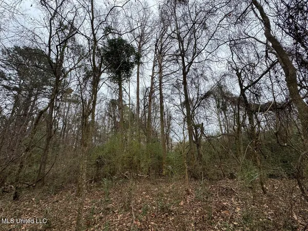 $450,000 | 7035 Robertson Road, Meadville, MS 39653