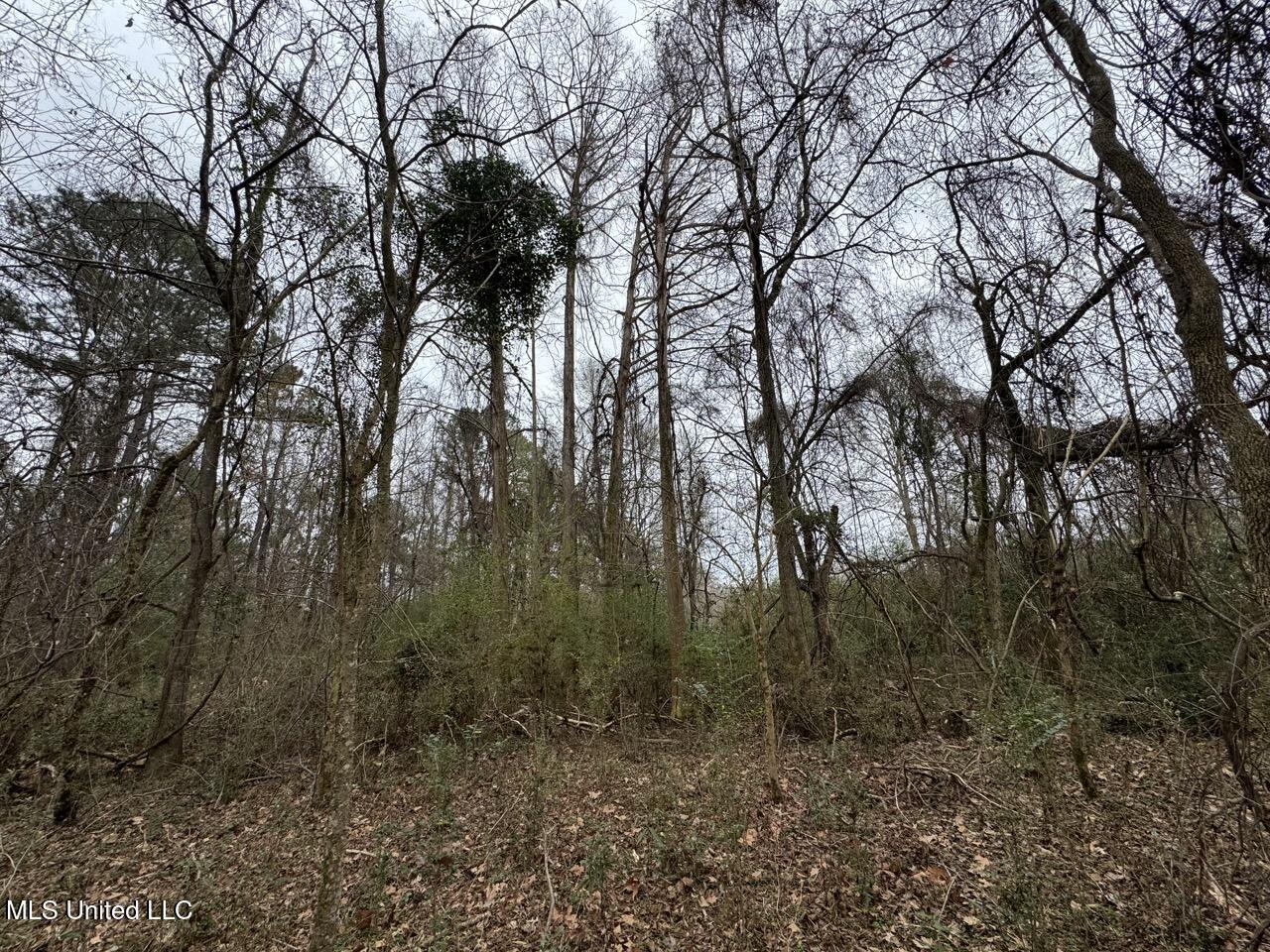 7035 Robertson Road Meadville, MS 39653 - Photo 46 of 47 IMG_1143 Large