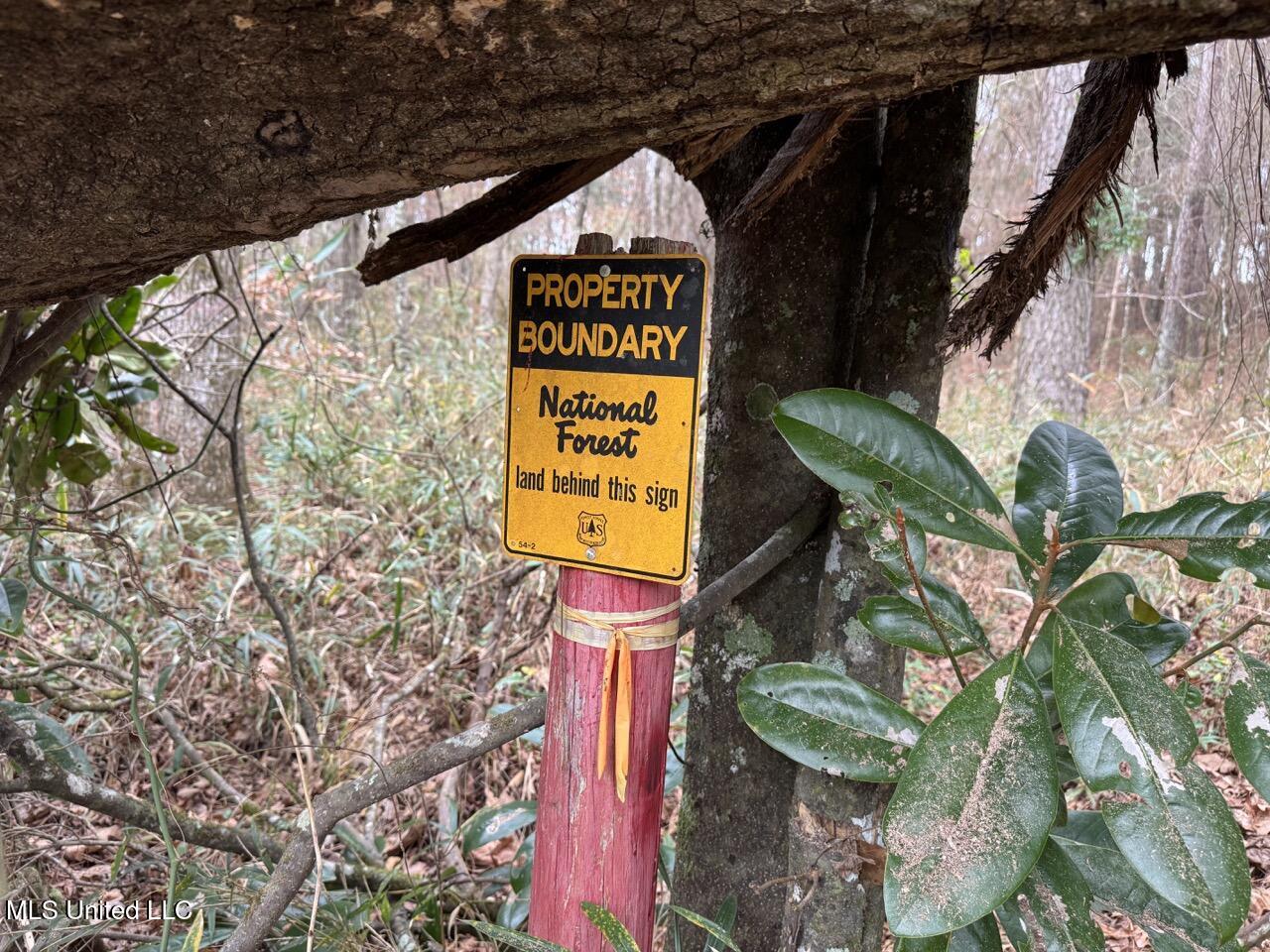 7035 Robertson Road Meadville, MS 39653 - Photo 47 of 47 IMG_1144 2 Large