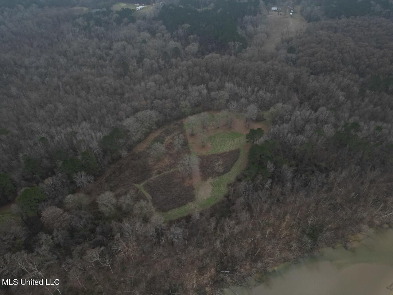 7035 Robertson Road Meadville, MS 39653 - Photo 7 of 47 DJI_0079 Large