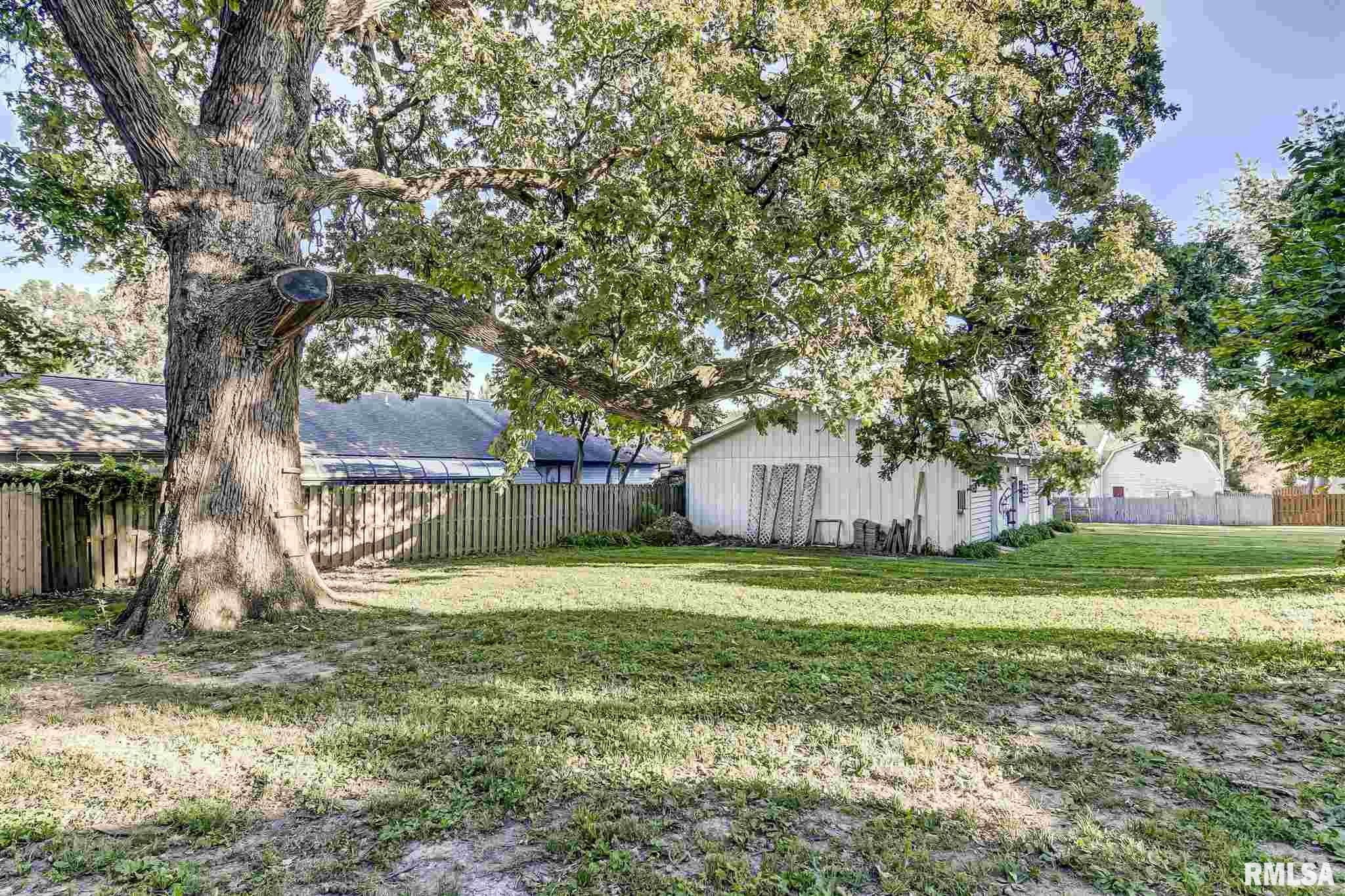 356 North Walnut Street Rochester, IL 62563 - Photo 8 of 50