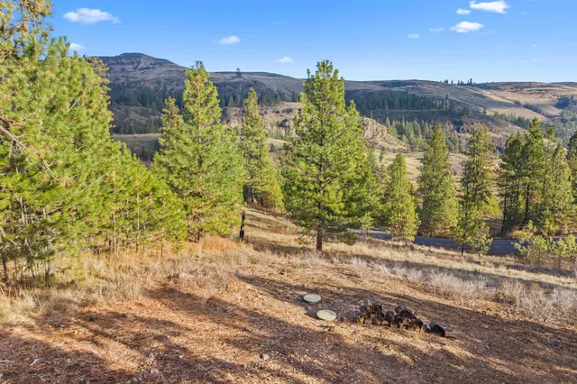 $379,000 | 31741 East Ringneck Lane, Davenport, WA 99122