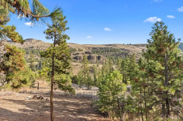 $379,000 | 31741 East Ringneck Lane, Davenport, WA 99122