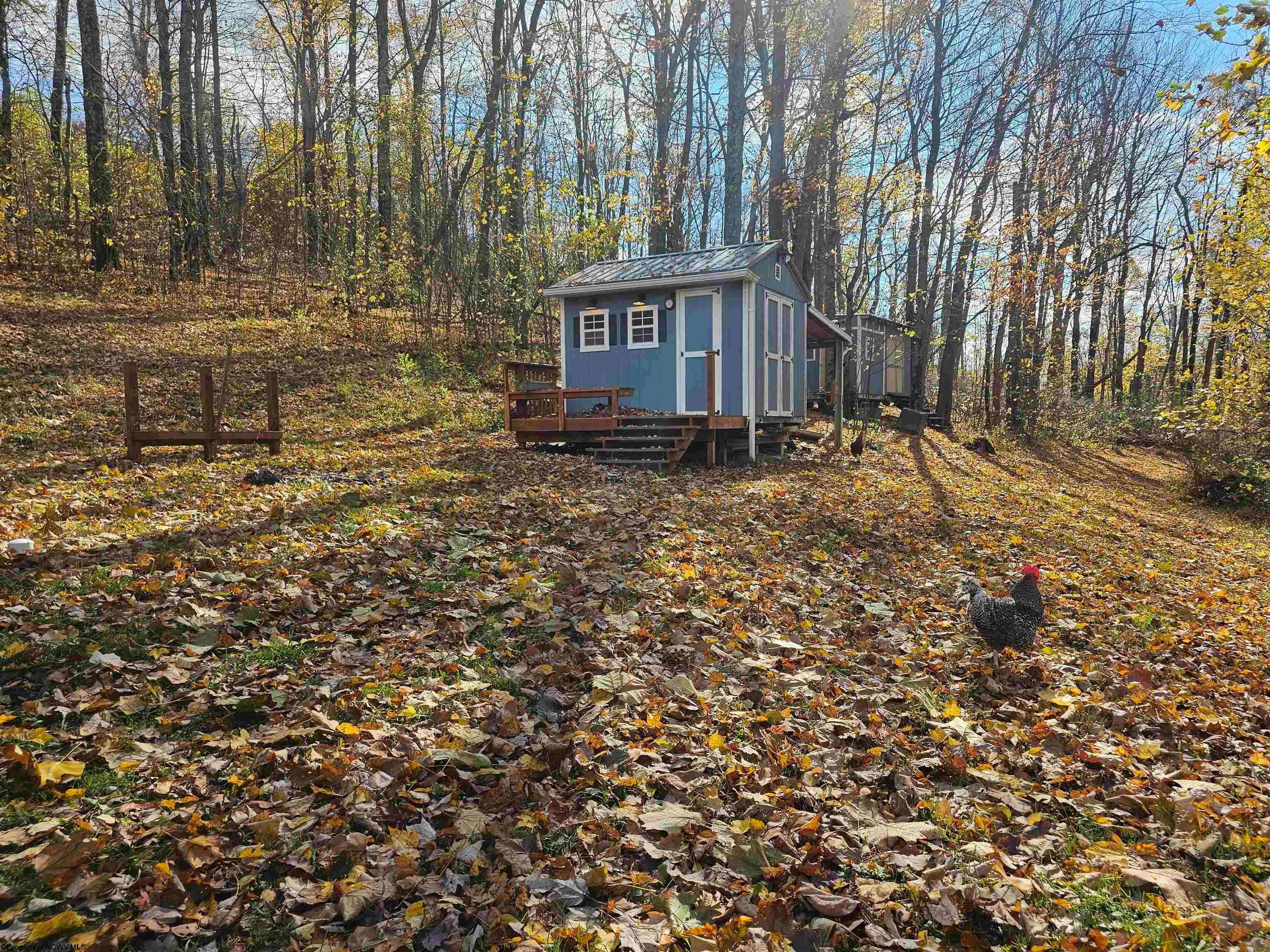 2869 Odells Knob Road Shinnston, WV 26431 - Photo 21 of 29 Gallery Image 21