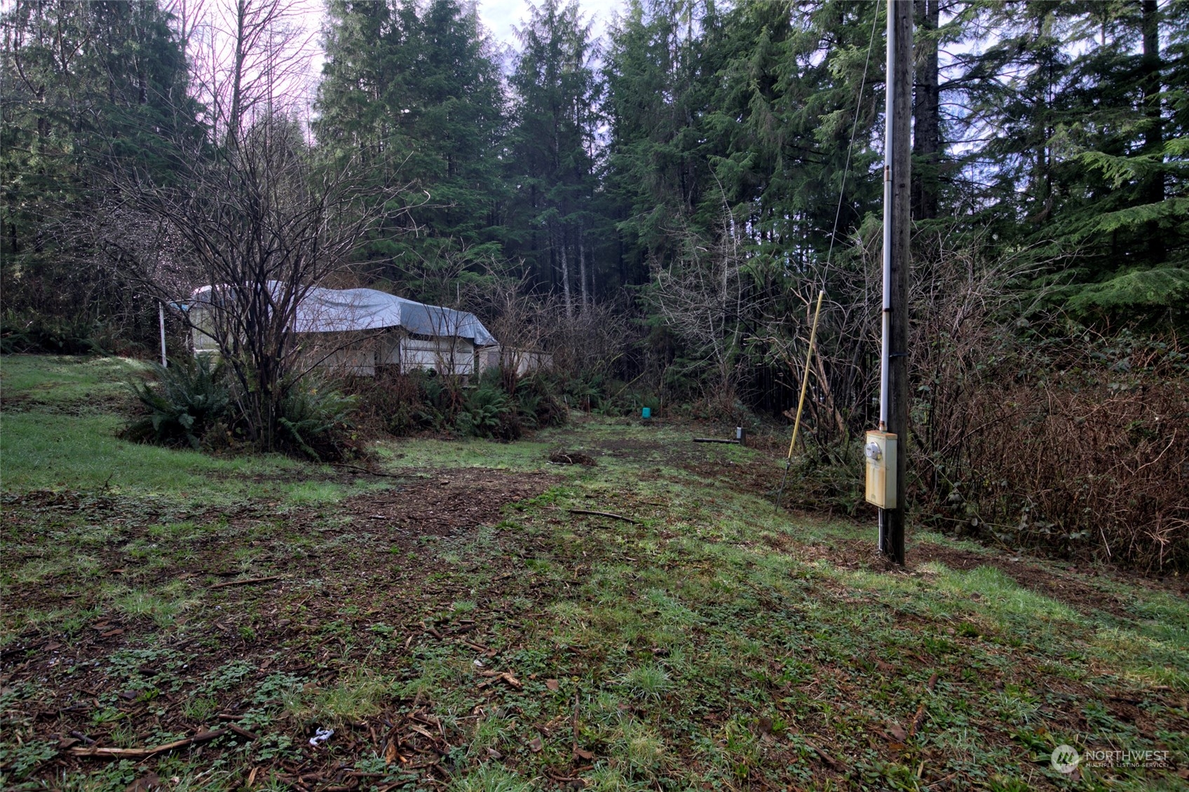 22 Elk Ridge Road Copalis Beach, WA 98535 - Photo 4 of 12 Gallery Image 4
