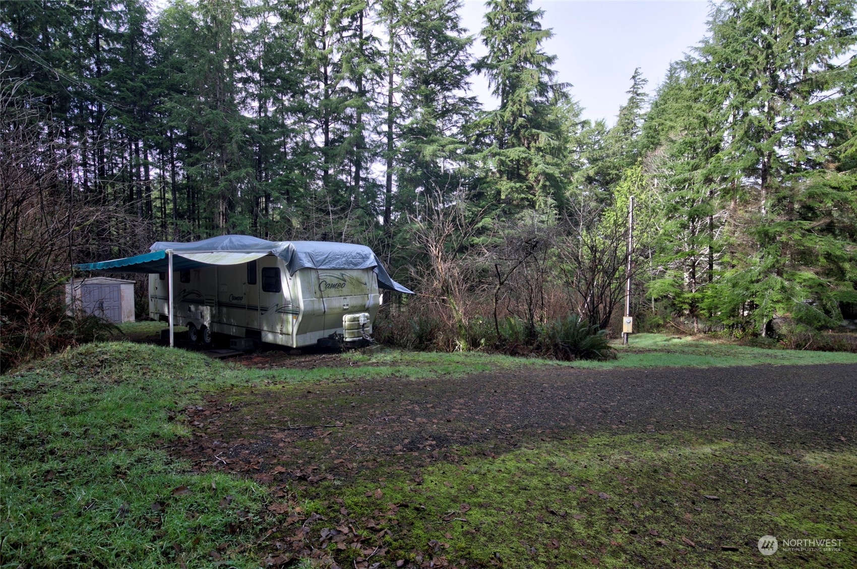 22 Elk Ridge Road Copalis Beach, WA 98535 - Photo 6 of 12 Gallery Image 6