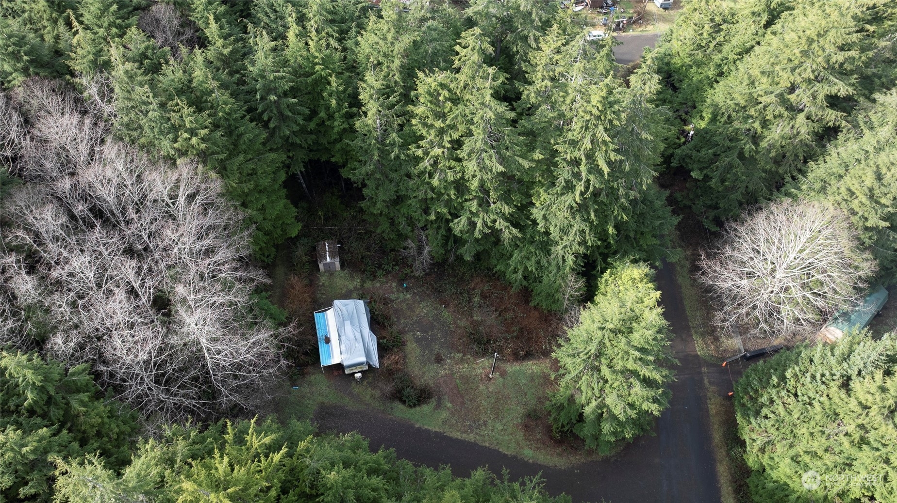 22 Elk Ridge Road Copalis Beach, WA 98535 - Photo 8 of 12 Gallery Image 8