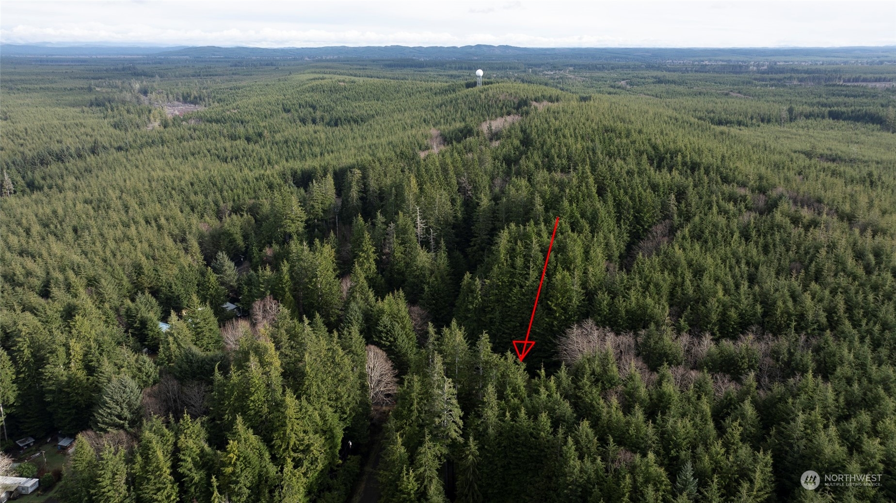 22 Elk Ridge Road Copalis Beach, WA 98535 - Photo 10 of 12 Gallery Image 10