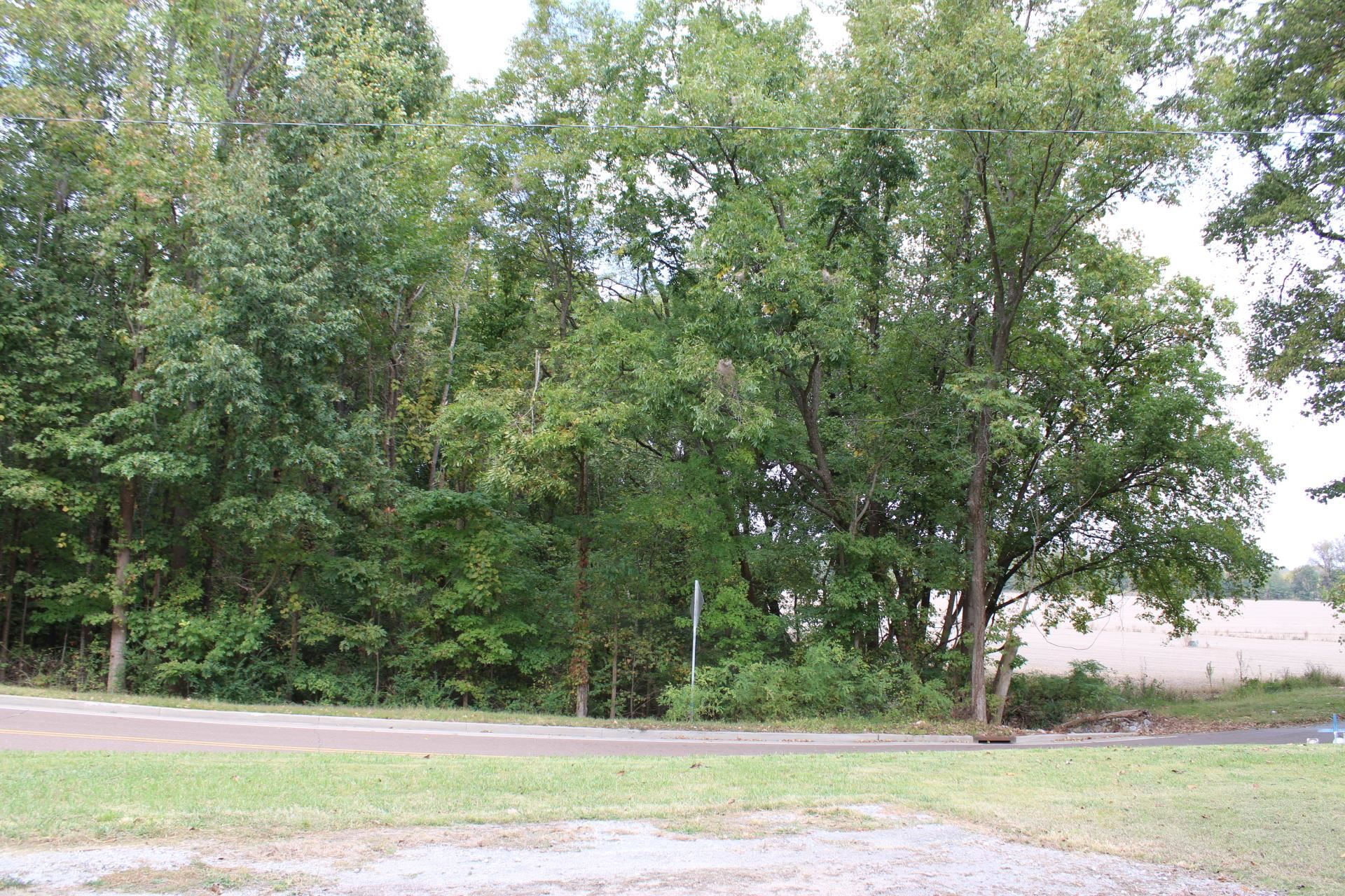 138 West Webb Avenue Ripley, TN 38063 - Photo 31 of 31 a view of a yard