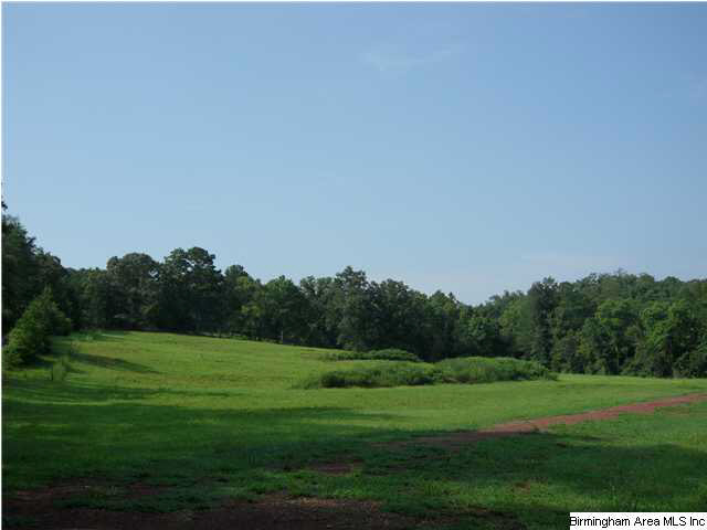 Empire Road, Unit 25 Empire, AL 35063 - Photo 1 of 16 Gallery Image 1