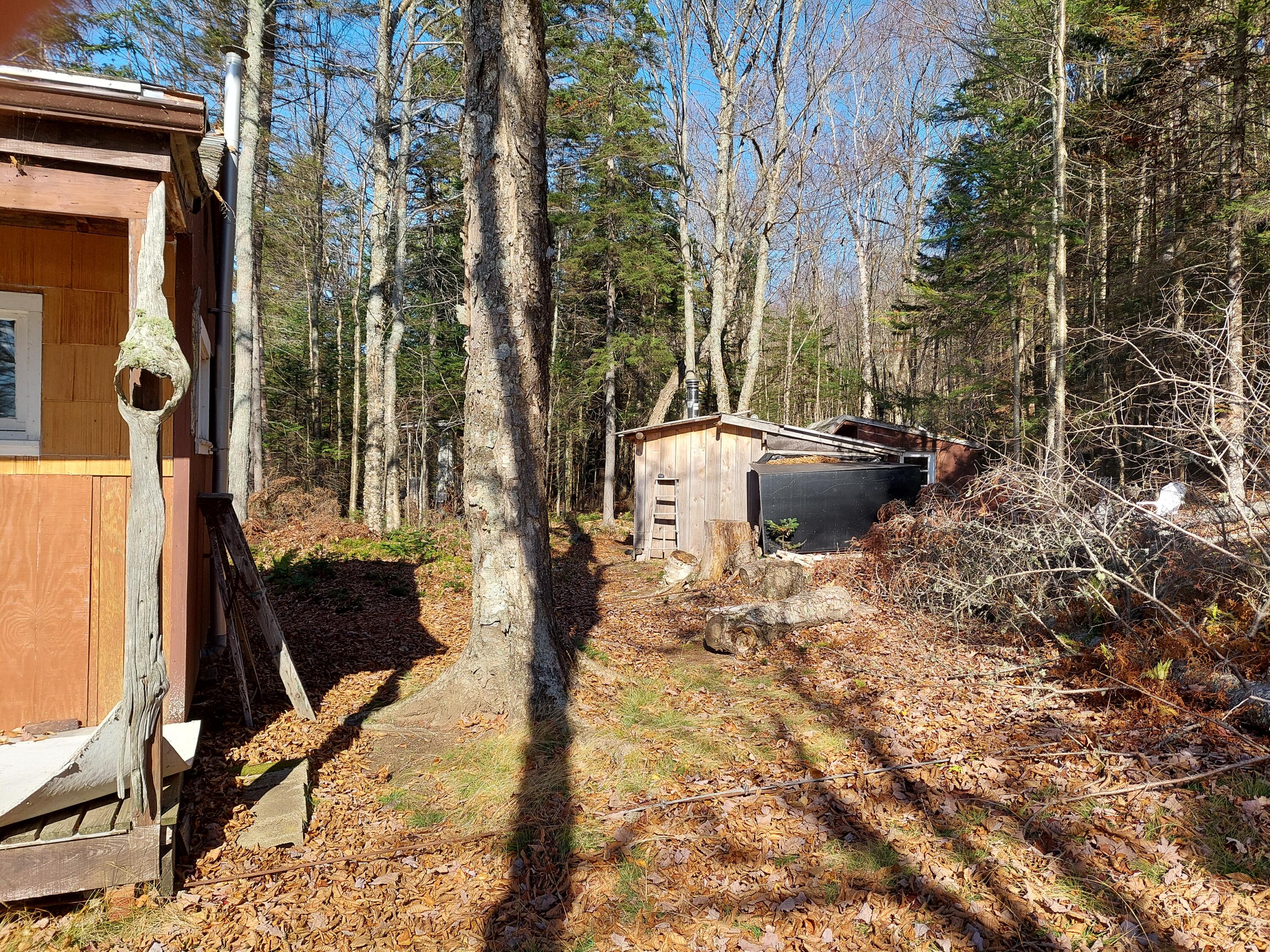 31 Raspberry Lane North Oquossoc, ME 04964 - Photo 23 of 25 20211024_121943